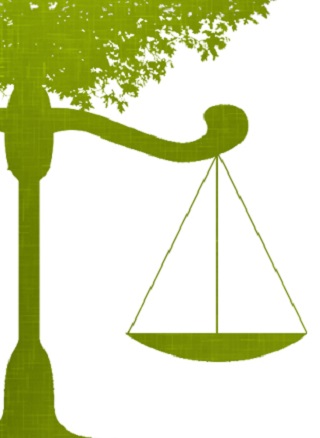 Introdução ao Direito e a Legislação Ambiental 